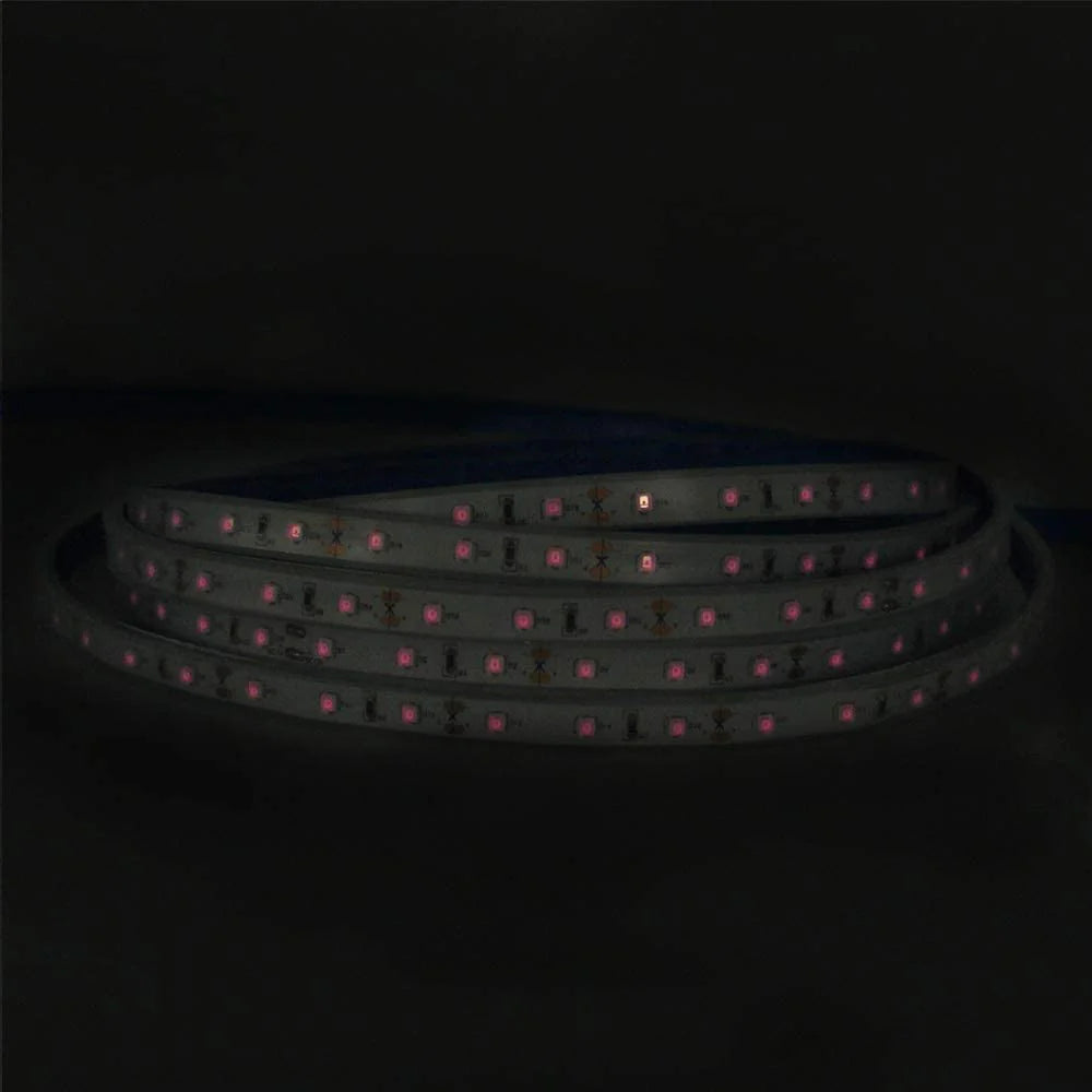 810nm SMD2835 DC12V Infrared LED Strip Light – Near IR for Therapy & Circulation, 60/120/240 LEDs/m, 5 Meters, IP00/IP65