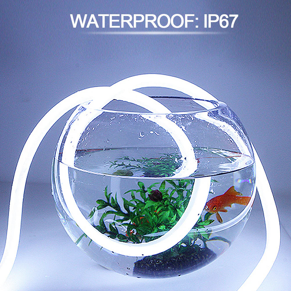 S1620 Neon Light Housing – 16x20mm | Silicone LED Channel System | 10mm PCB Width | IP67 Waterproof | 16.4FT/5M*1/16.4FT/5M*5 | Local Stock US/UK/DE