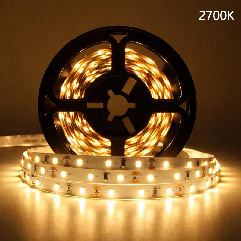 LightingWill DC24V SMD2835 Full Spectrum LED Strip Light 120LEDs/m 600 LEDs 16W/m, CRI 97+ High Density LED Ribbon 2700K–6500K, 8mm PCB IP00/IP67 for Indoor Cabinet and Bedroom Lighting, 5/50M