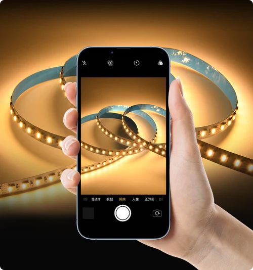 LightingWill RGBCCT LED Strip Light DC12V DC24V, 12mm PCB 5-in-1 SMD5050 60 LEDs/m, IP00 IP65 IP67 Flexible LED Tape Light for Mirror Kitchen Cabinet Bedroom, 5m 50m