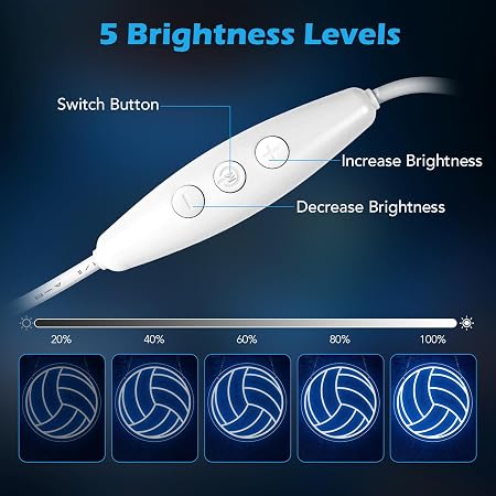 LED Neon Signs – Volleyball Silicone Neon Sign – 12×12 Inch | 5V USB Powered Dimmable Ice Blue Glow LED Wall Light | Neon Lamp with Accessories Included | Hanging Sports Decor for Bedroom, Game Room, Bar & Party Spaces